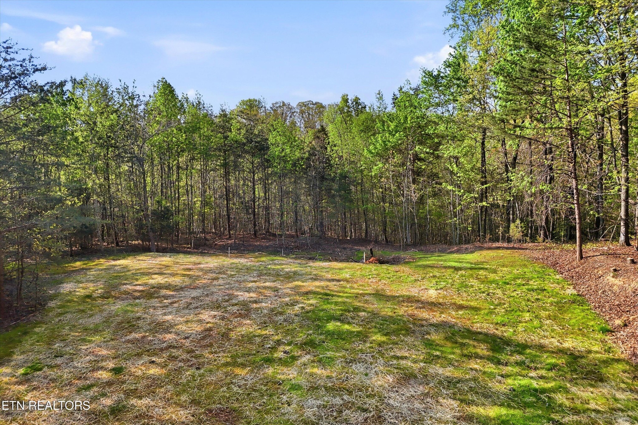 354 Ladd Ridge Road Kingston, TN 37763 - Photo 9 of 31 Gallery Image 9
