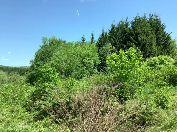 $129,900 | 0 Rene Vaillancourt Home Farm, Van Buren, ME 04785