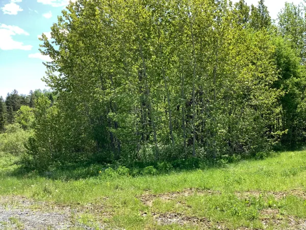 $129,900 | 0 Rene Vaillancourt Home Farm, Van Buren, ME 04785