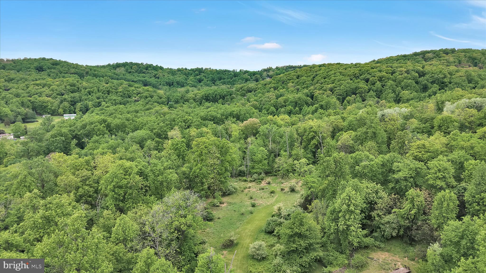 5220 Oley Turnpike Road Reading, PA 19606 - Photo 7 of 85 a view of a lush green forest with trees in the background