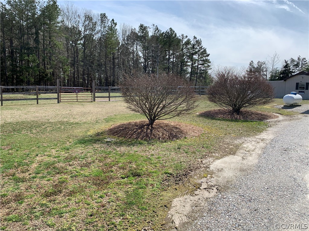 1079 CCC Road Crewe, VA 23930 - Photo 16 of 33 a view of a yard with a tree