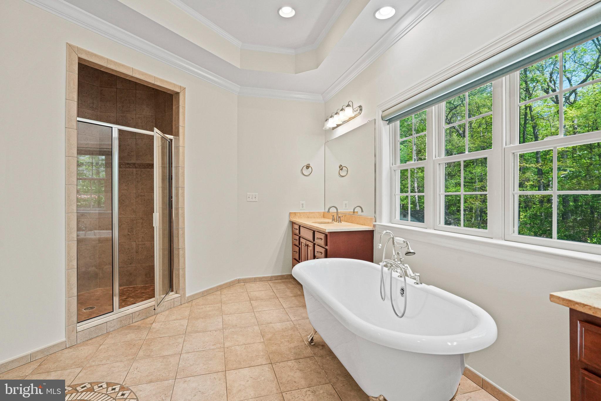 13551 Triadelphia Mill Road Clarksville, MD 21029 - Photo 30 of 74 a bathroom with a sink and a mirror