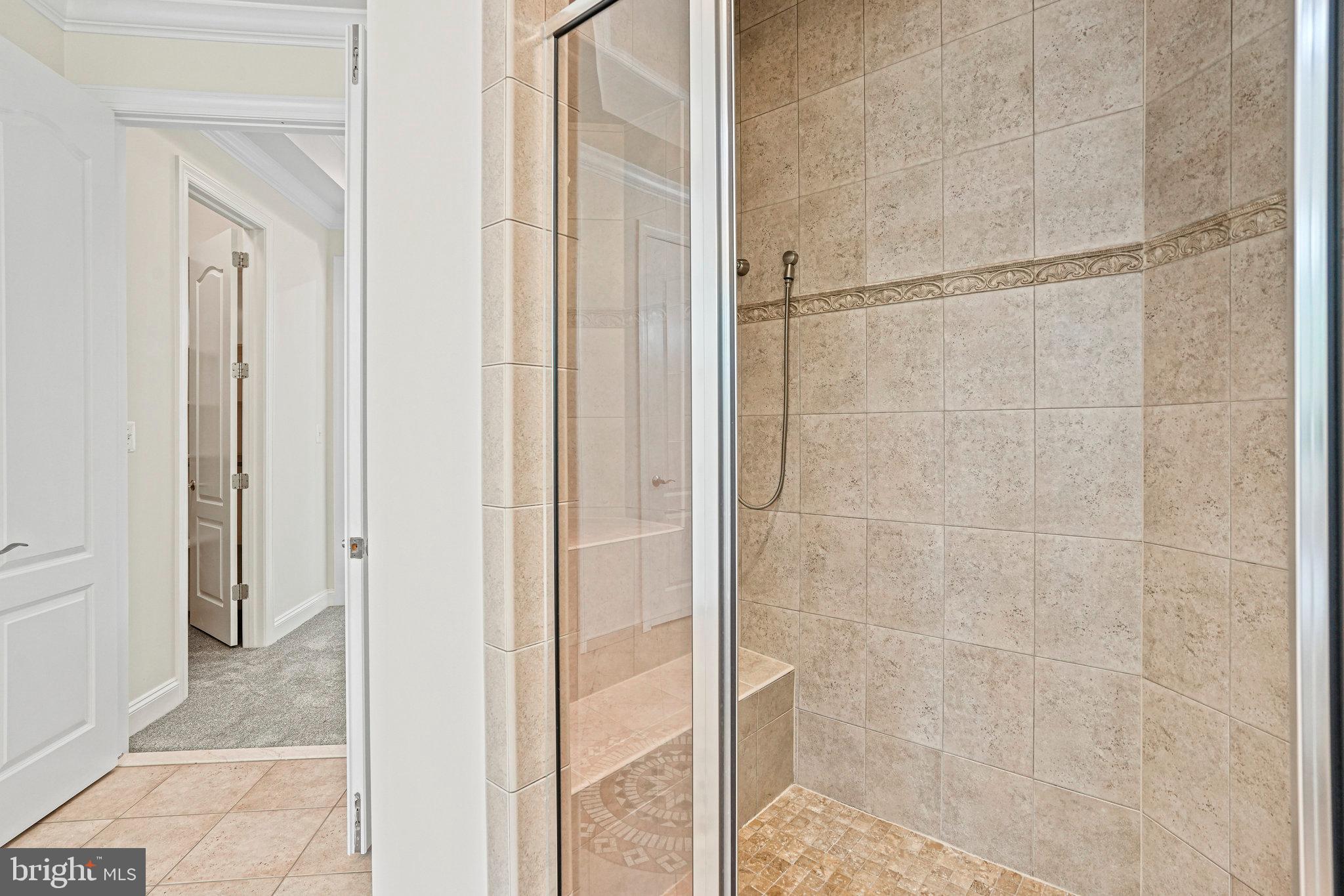 13551 Triadelphia Mill Road Clarksville, MD 21029 - Photo 31 of 74 a bathroom with a glass shower door