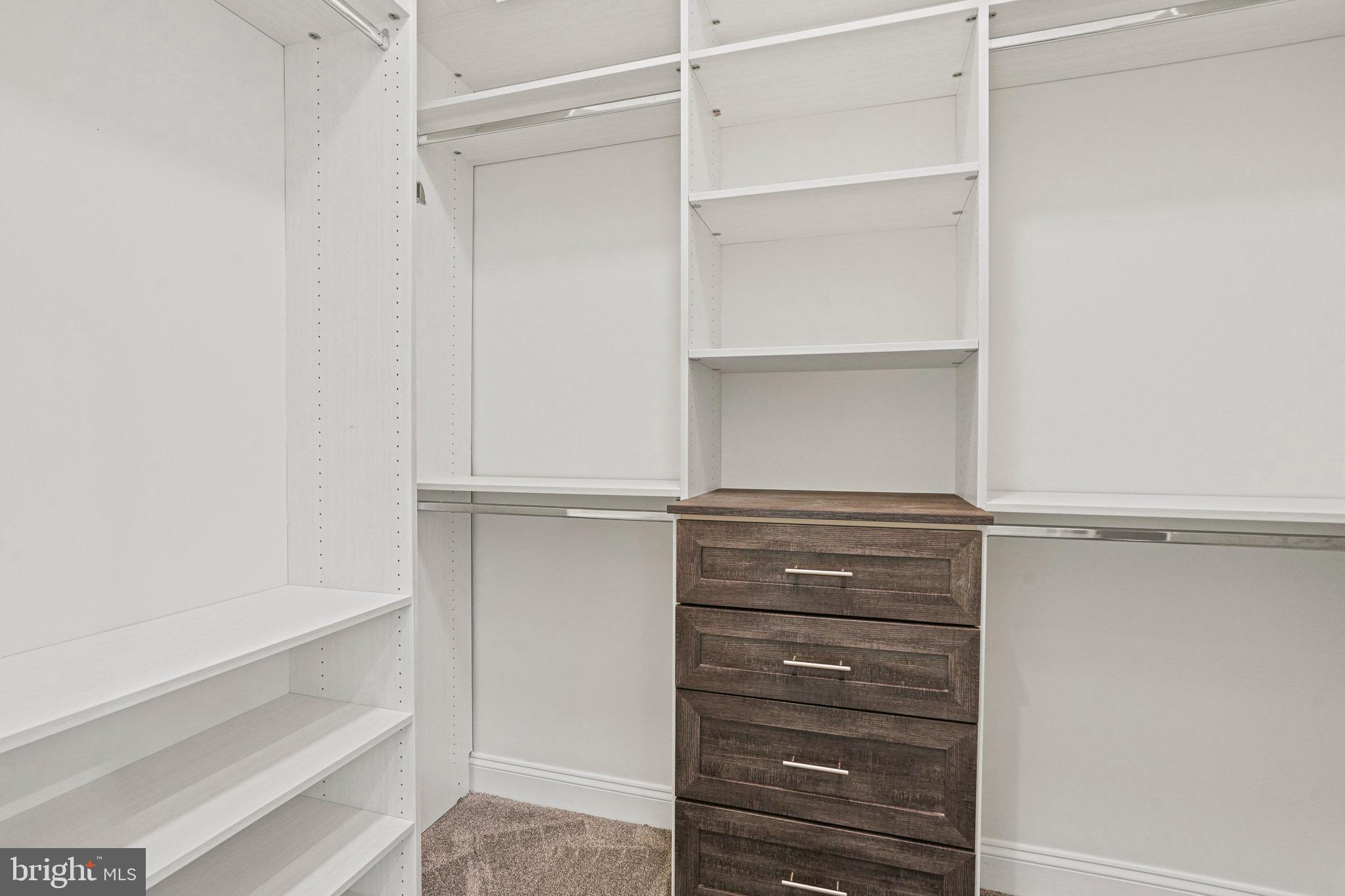 13551 Triadelphia Mill Road Clarksville, MD 21029 - Photo 35 of 74 a view of walk in closet with empty racks