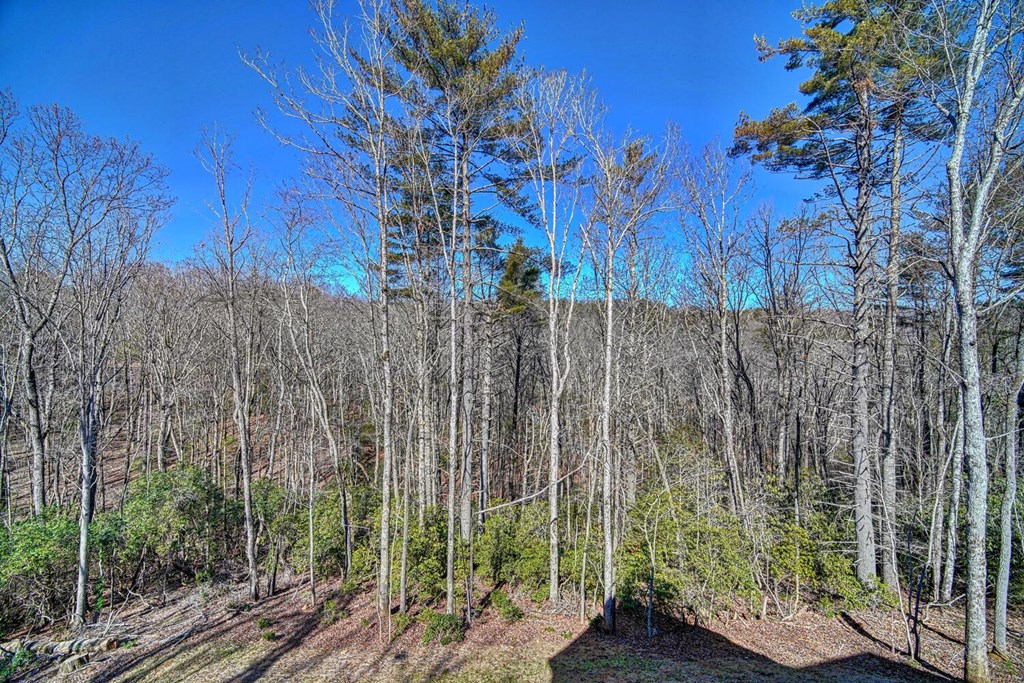 111 Price Circle Blue Ridge, GA 30513 - Photo 52 of 66