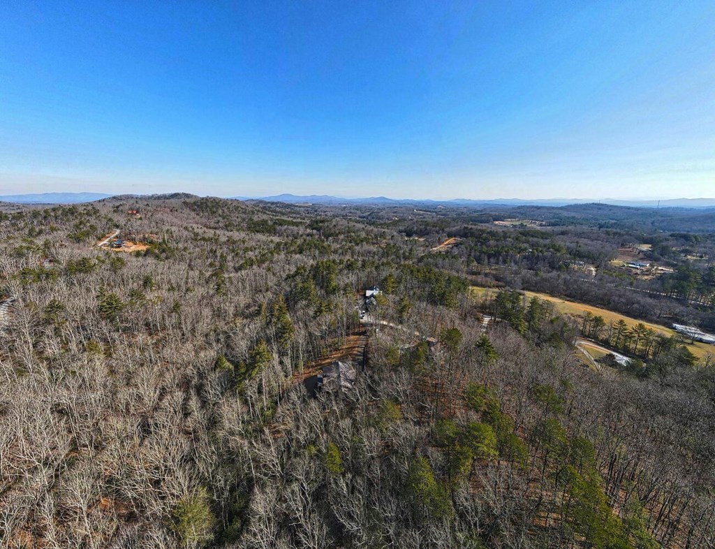 111 Price Circle Blue Ridge, GA 30513 - Photo 62 of 66