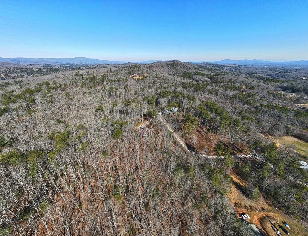 111 Price Circle Blue Ridge, GA 30513 - Photo 63 of 66