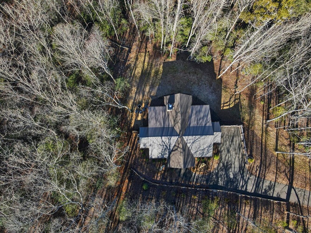 111 Price Circle Blue Ridge, GA 30513 - Photo 64 of 66