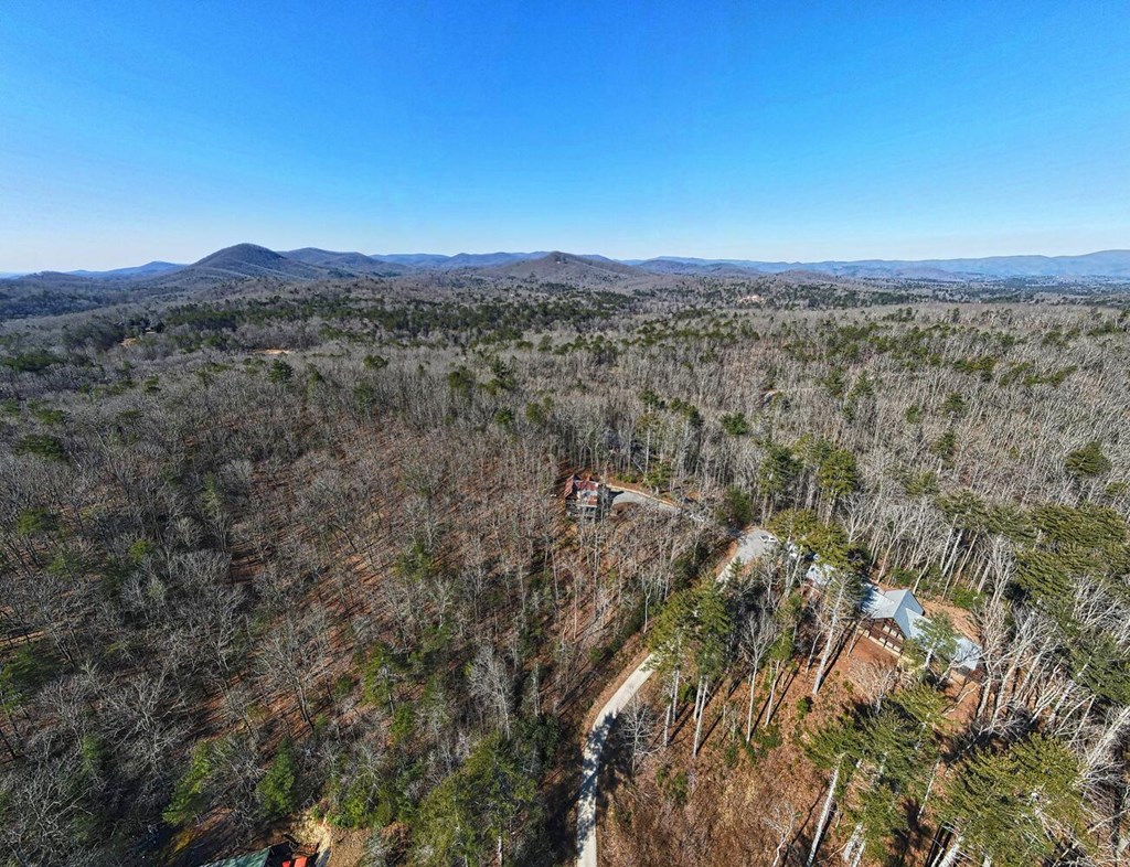 111 Price Circle Blue Ridge, GA 30513 - Photo 65 of 66