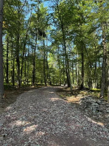 $195,000 | Lot 2 Evergreen Lane, Narrowsburg, NY 12764