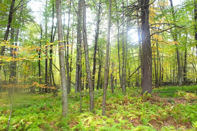 $195,000 | Lot 2 Evergreen Lane, Narrowsburg, NY 12764