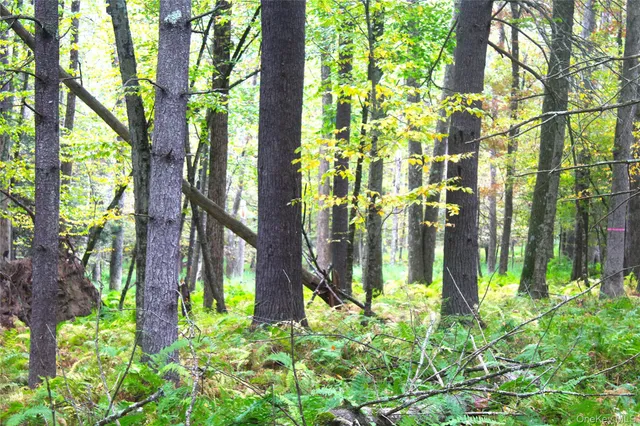$195,000 | Lot 2 Evergreen Lane, Narrowsburg, NY 12764
