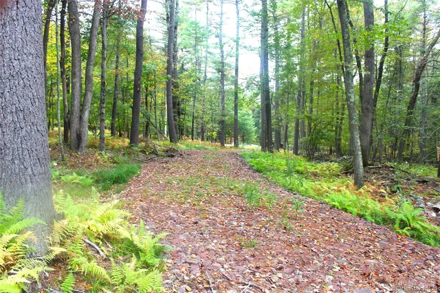 $195,000 | Lot 2 Evergreen Lane, Narrowsburg, NY 12764