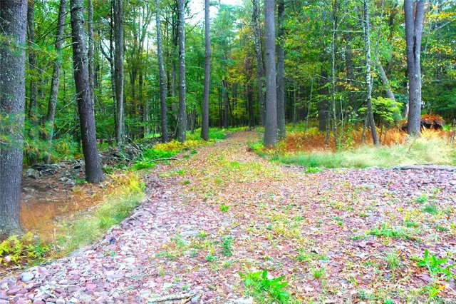 $195,000 | Lot 2 Evergreen Lane, Narrowsburg, NY 12764