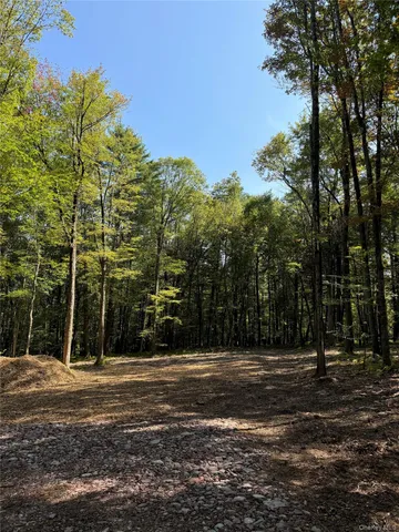 $195,000 | Lot 2 Evergreen Lane, Narrowsburg, NY 12764