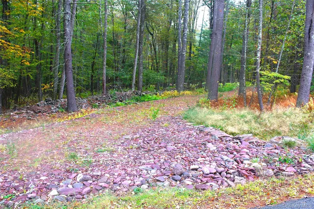 a bunch of trees and flowers in a garden