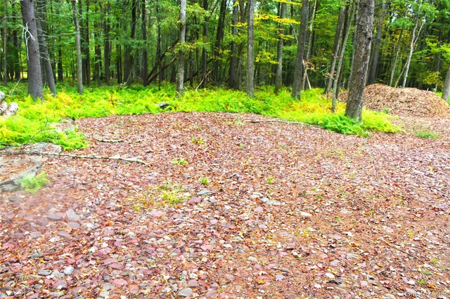 $195,000 | Lot 2 Evergreen Lane, Narrowsburg, NY 12764