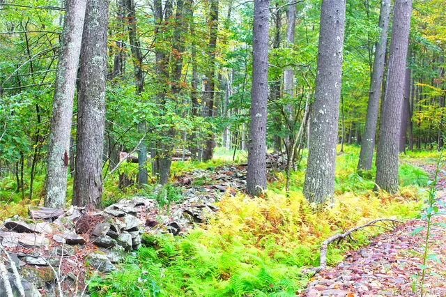 a backyard of a house with lots of green space and trees