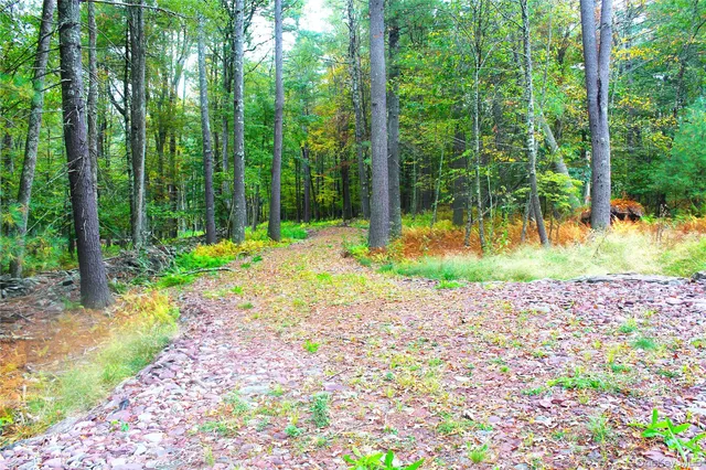 $195,000 | Lot 2 Evergreen Lane, Narrowsburg, NY 12764