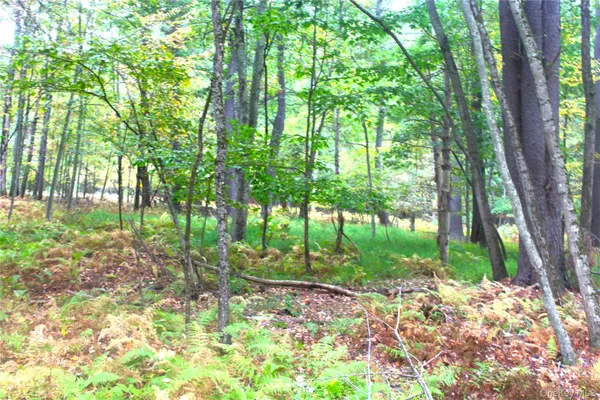 a backyard of a house with lots of green space and trees