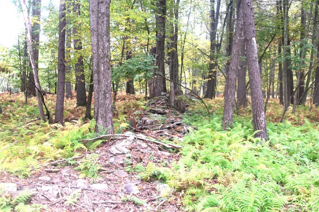 $195,000 | Lot 2 Evergreen Lane, Narrowsburg, NY 12764