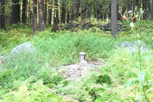$195,000 | Lot 2 Evergreen Lane, Narrowsburg, NY 12764