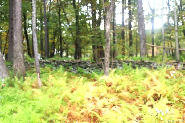 a green field with lots of bushes