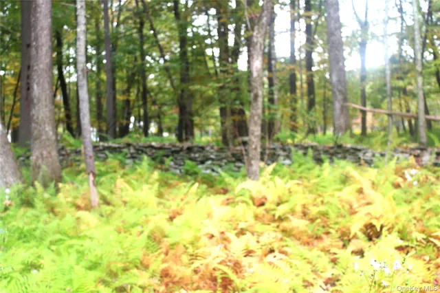 $195,000 | Lot 2 Evergreen Lane, Narrowsburg, NY 12764