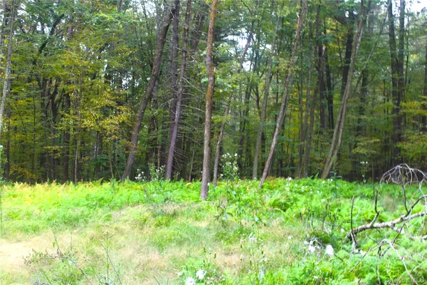 a view of swimming pool from a yard