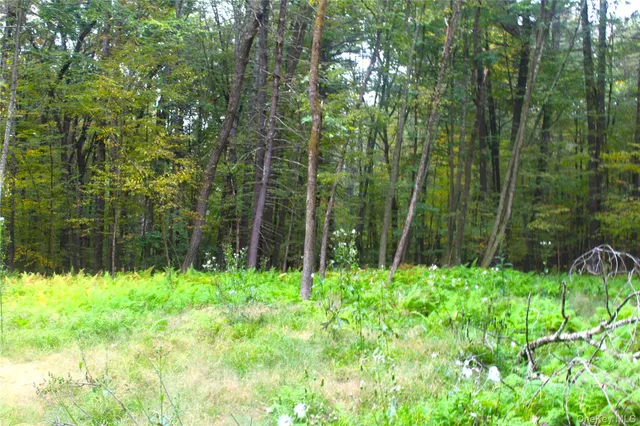 $195,000 | Lot 2 Evergreen Lane, Narrowsburg, NY 12764