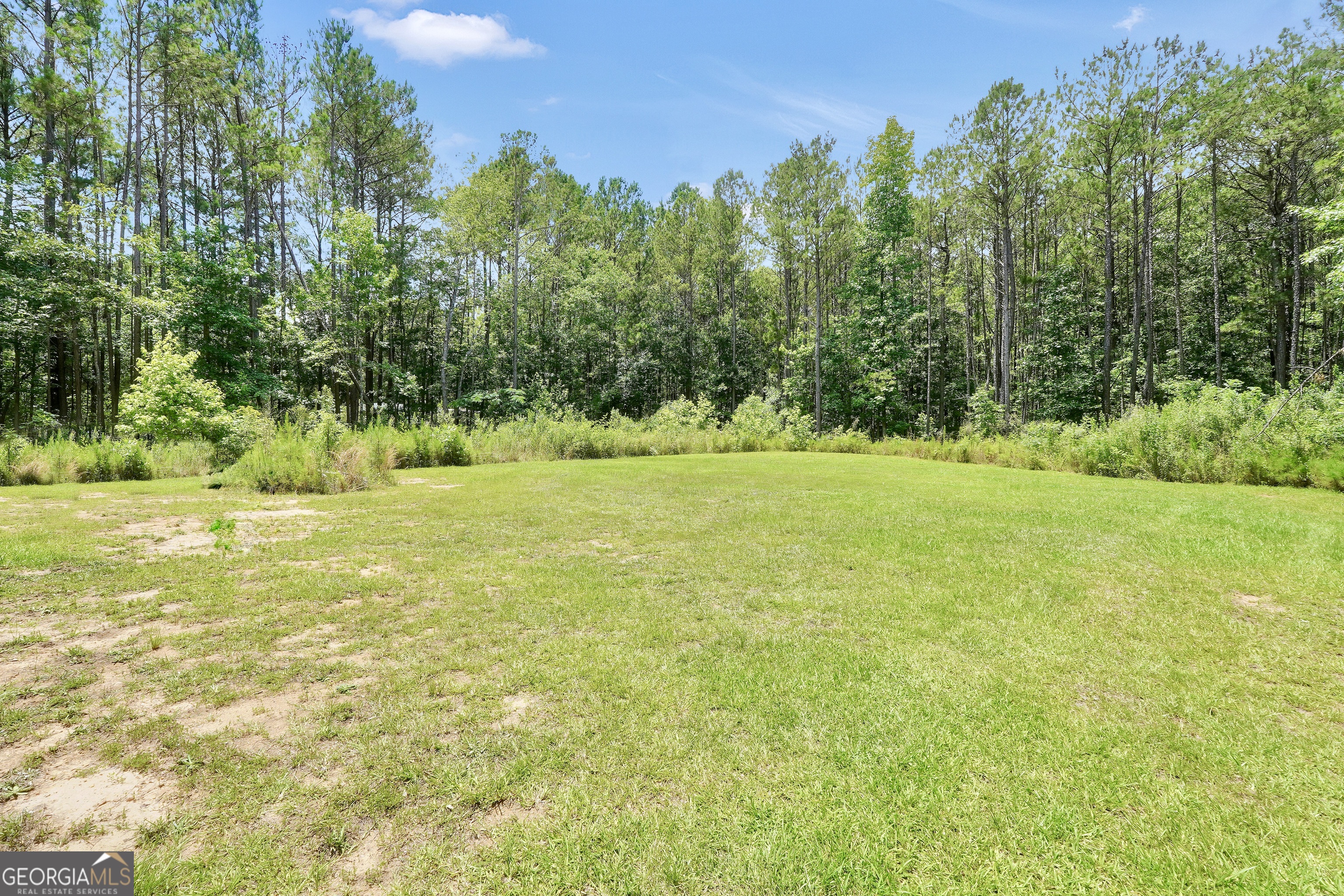 180 Barnesville Road Milner, GA 30257 - Photo 63 of 65