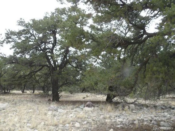 $18,900 | 3730 Cordial Way, Crestone, CO 81131