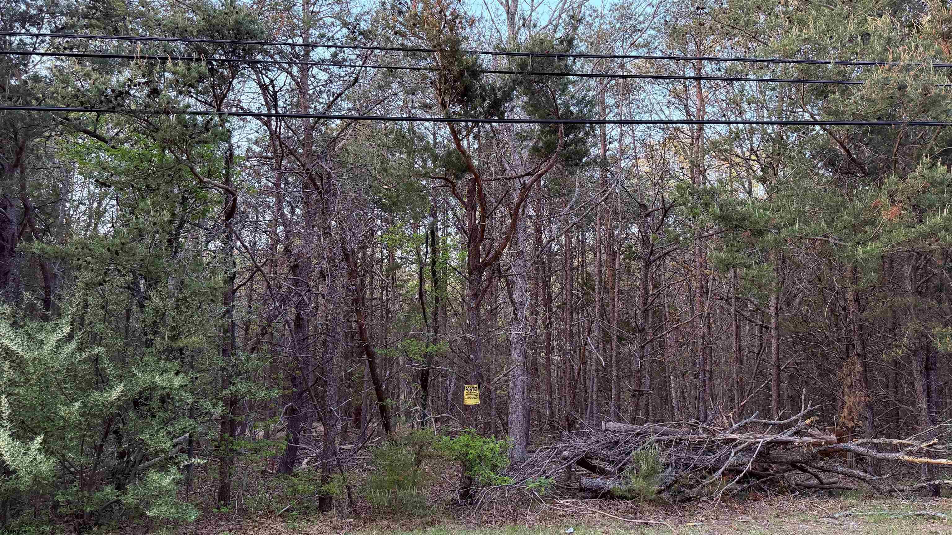 0 Factory Road Cedarville, NJ 08311 - Photo 13 of 13 a view of a yard and a wooden fence