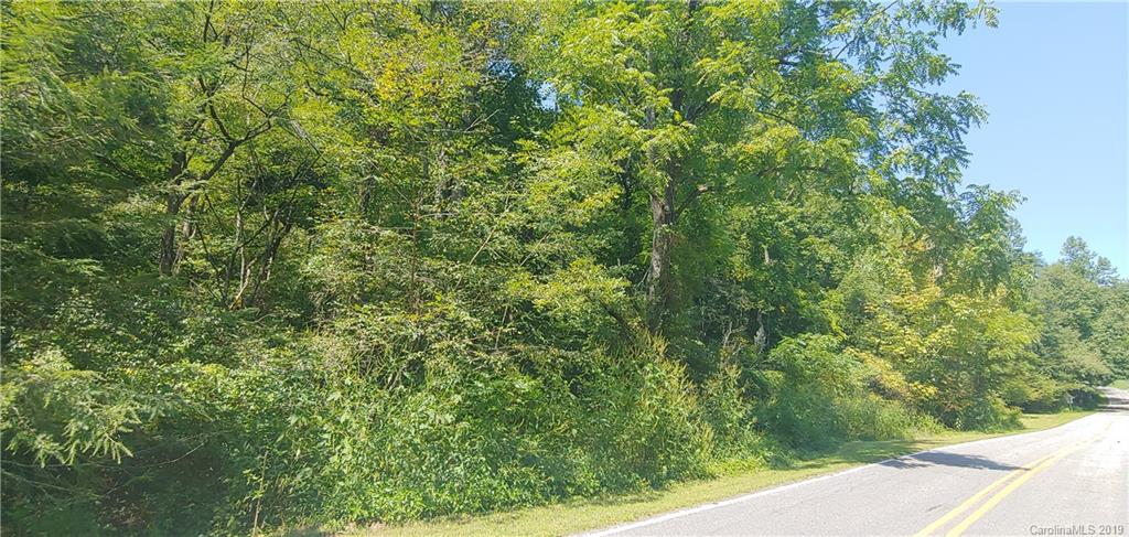 N/a Sutton Branch Road Sylva, NC 28779 - Photo 1 of 12 Gallery Image 1
