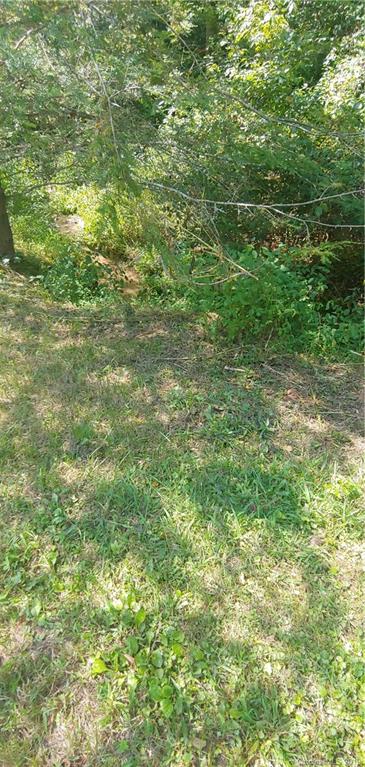 N/a Sutton Branch Road Sylva, NC 28779 - Photo 2 of 12 Gallery Image 2