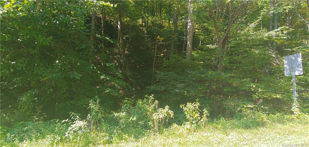 N/a Sutton Branch Road Sylva, NC 28779 - Photo 4 of 12 Gallery Image 4
