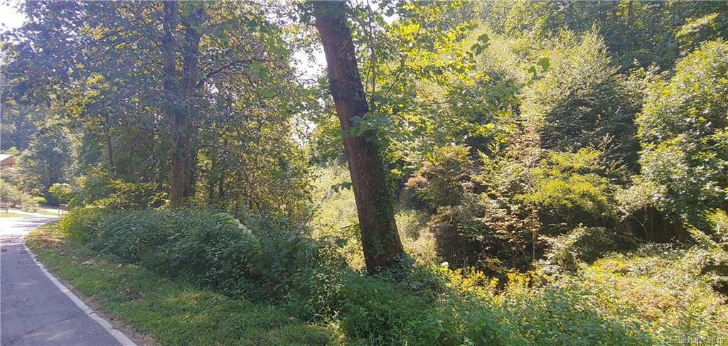 N/a Sutton Branch Road Sylva, NC 28779 - Photo 9 of 12 Gallery Image 9