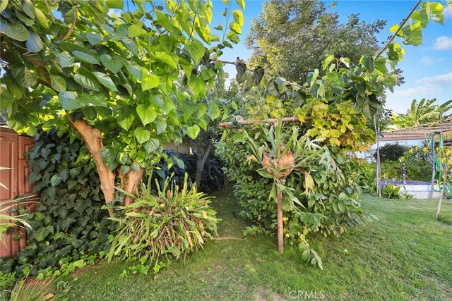 a backyard of a house with lots of green space