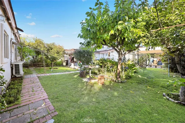 a view of a park with large trees