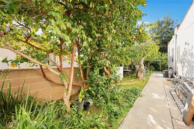 a view of a pathway with a yard