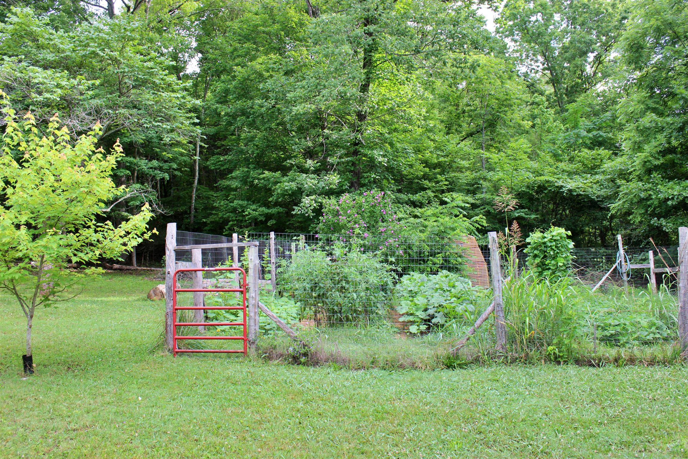 3174 Lower Lick Creek Road Linden, TN 37096 - Photo 8 of 17 Gallery Image 8