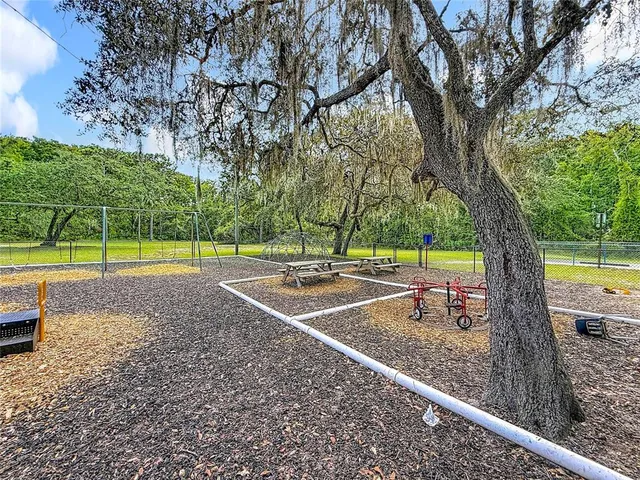 a view of a tennis ground with large trees