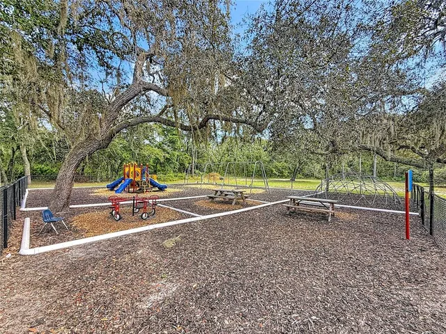 a view of park with large trees