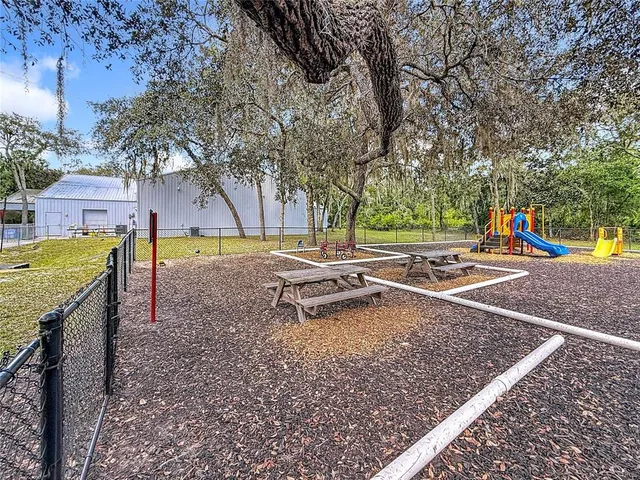 a view of a backyard with large trees