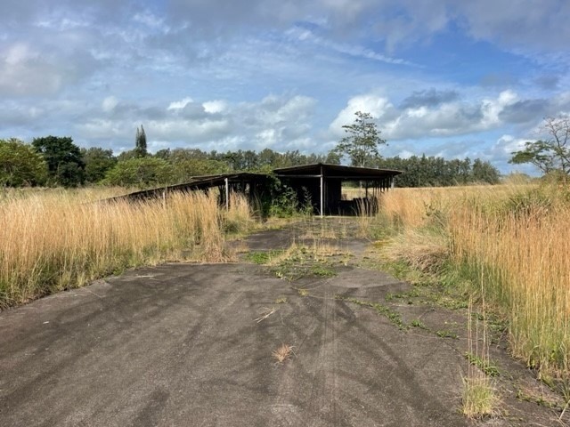 18-3989 South Lauko Road Mountain View, HI 96771 - Photo 11 of 12 a view of a lake with a yard