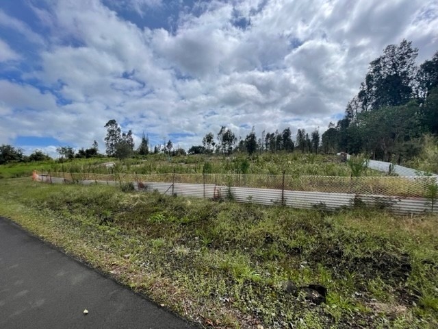 18-3989 South Lauko Road Mountain View, HI 96771 - Photo 5 of 12