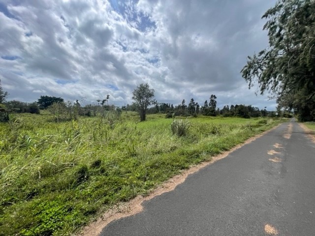 18-3989 South Lauko Road Mountain View, HI 96771 - Photo 7 of 12 a view of a garden with an trees