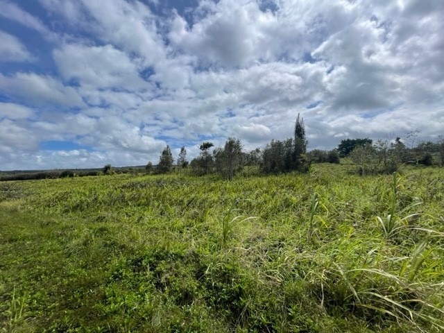 18-3989 South Lauko Road Mountain View, HI 96771 - Photo 8 of 12 a view of a big yard with plants and a bench