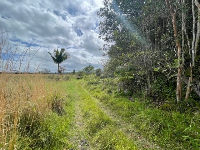 18-3989 South Lauko Road Mountain View, HI 96771 - Photo 9 of 12 a view of a lake from a yard
