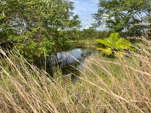 18-3989 South Lauko Road Mountain View, HI 96771 - Photo 10 of 12 a view of a balcony with plants